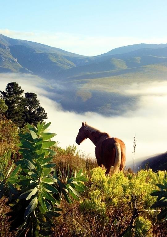 Akasha Mountain Retreat, New Location Villa Heidelberg  Bagian luar foto